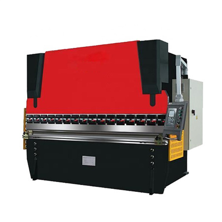 Professional Sale Duplex Linkage Tandem Metal Sheet Press Brake Machine